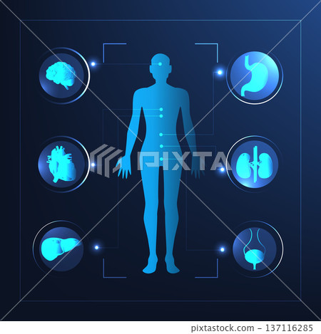 Human internal organs. Human internal organs. 137116285
