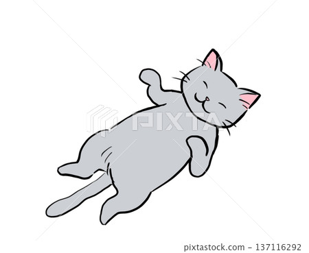 Gray cat sleeping with its belly exposed Gray cat sleeping with its belly exposed 137116292