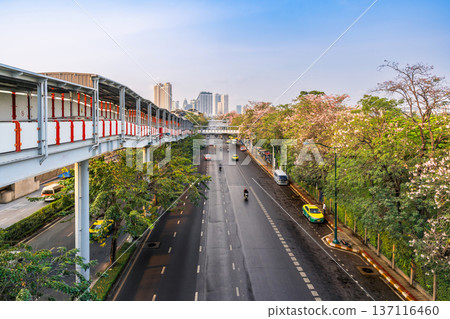 High-angle view of Phahonyothin Road with the BTS skywalk and blooming pink trumpet trees near Chatuchak Park during the dry season High-angle view of Phahonyothin Road with the BTS skywalk and blooming pink trumpet trees near Chatuchak Park during the dry season 137116460