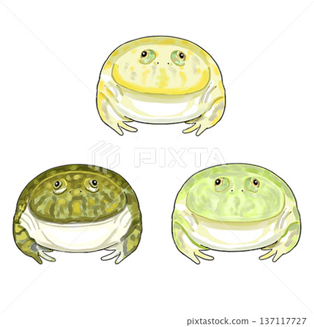 三種預算青蛙 137117727