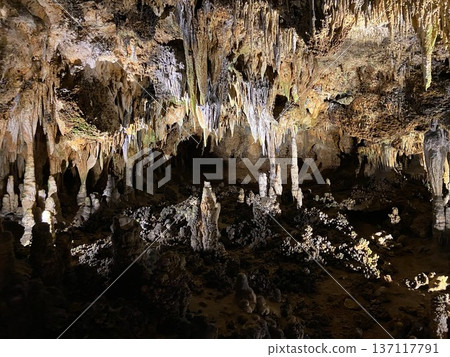 Luray Caverns' dense underground landscape of stalactites and stalagmites Luray Caverns' dense underground landscape of stalactites and stalagmites 137117791