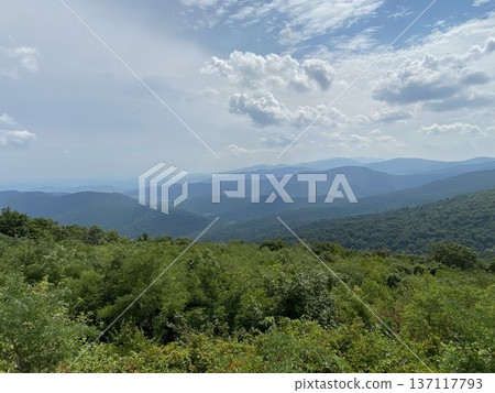 The Blue Ridge Mountains as seen from Skyline Drive in Shenandoah National Park The Blue Ridge Mountains as seen from Skyline Drive in Shenandoah National Park 137117793