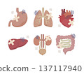 平面醫學插圖，展示胃、肺、心臟、肝臟、腎臟和腸道疾病。 137117940