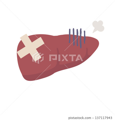 Illustration of an unhealthy-looking liver with a bandage attached Illustration of an unhealthy-looking liver with a bandage attached 137117943