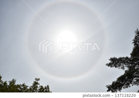 A halo in the April sky A halo in the April sky 137118220