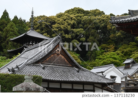 奈良縣,太馬寺建築群郡 奈良縣,太馬寺建築群郡 137118230