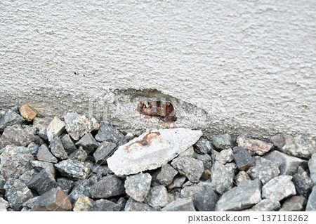 Detached house, mortar cracks due to corrosion of rebar in the foundation 137118262