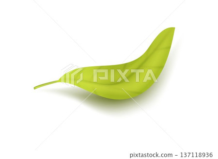 Curved Green Leaf Floating Realistic Vector Illustration Curved Green Leaf Floating Realistic Vector Illustration 137118936
