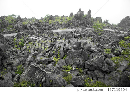 Lava zone at Onioshidashi Park caused by the eruption of Mount Asama Lava zone at Onioshidashi Park caused by the eruption of Mount Asama 137119304
