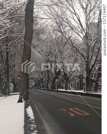 東京罕見的雪天早晨 東京罕見的雪天早晨 137119407