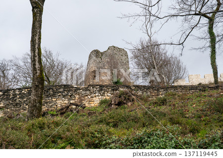 Round stone tower of Anacopia fortress behind masonry wall on green hillside in Abkhazia under overcast sky, Historic architecture and landscape suitable for tourism marketing, heritage promotion Round stone tower of Anacopia fortress behind masonry wall on green hillside in Abkhazia under overcast sky, Historic architecture and landscape suitable for tourism marketing, heritage promotion 137119445
