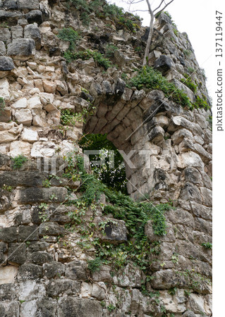 Arched stone window in fortress wall of Anacopia fortress in Abkhazia with visible masonry and ivy growth, Historic architectural detail suitable for tourism marketing, heritage education Arched stone window in fortress wall of Anacopia fortress in Abkhazia with visible masonry and ivy growth, Historic architectural detail suitable for tourism marketing, heritage education 137119447