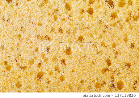 Yellow sponge close-up showing porous absorbent texture 137119820