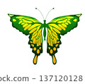 large butterfly without background yellow with green, a little color transition on the wings 137120128