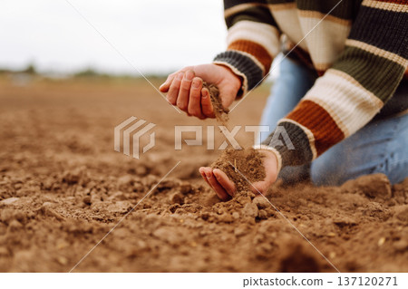 Young female farmer's hands touch dry soil in an agricultural field. Gardening and ecology concept. Young female farmer's hands touch dry soil in an agricultural field. Gardening and ecology concept. 137120271