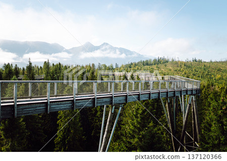 Wooden bridge in middle of the forest with view of mountains, Tatras. Architecture concept, hiking. Wooden bridge in middle of the forest with view of mountains, Tatras. Architecture concept, hiking. 137120366