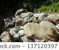 Mountain Stream Flowing Through Large Natural Boulders in Lush Forest 137120397