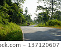 Winding Asphalt Road Through Lush Green Tropical Mountain Forest 137120607