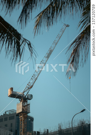 Construction crane and tropical palm trees at urban building site under clear sky, tower crane in modern city, tropical Asian development 137120789