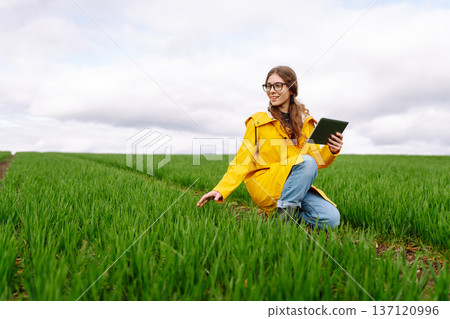The woman agronomist uses a tablet, applications for monitoring the state of the field, plant 137120996