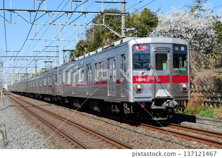 Tobu 10000 series 11006F Tojo Line train running with plum blossoms in the background Tobu 10000 series 11006F Tojo Line train running with plum blossoms in the background 137121467