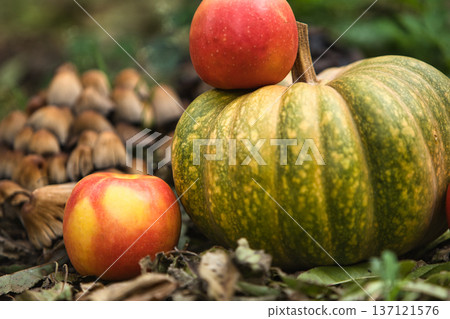 Fresh autumn harvest still life with a green pumpkin surrounded by red apples on the ground. Fresh autumn harvest still life with a green pumpkin surrounded by red apples on the ground. 137121576
