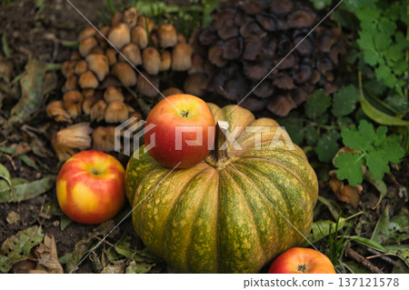 Fresh autumn harvest still life with a green pumpkin surrounded by red apples on the ground. Fresh autumn harvest still life with a green pumpkin surrounded by red apples on the ground. 137121578