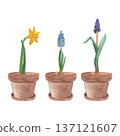 Watercolor garden , country farm gardening, clipart, rusty element, watering can, flower pot ,green rubber boots ,spring flowers , isolate 137121607