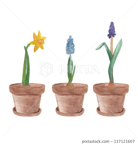 Watercolor garden , country farm gardening, clipart, rusty element, watering can, flower pot ,green rubber boots ,spring flowers , isolate Watercolor garden , country farm gardening, clipart, rusty element, watering can, flower pot ,green rubber boots ,spring flowers , isolate 137121607