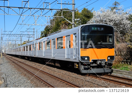 東武50000系列51001F型蒸汽機在背景中運行,背景是梅花。 東武50000系列51001F型蒸汽機在背景中運行,背景是梅花。 137121619