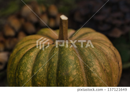Autumn pumpkin resting on the ground surrounded by fallen leaves and wild mushrooms in a forest garden setting. Autumn pumpkin resting on the ground surrounded by fallen leaves and wild mushrooms in a forest garden setting. 137121649