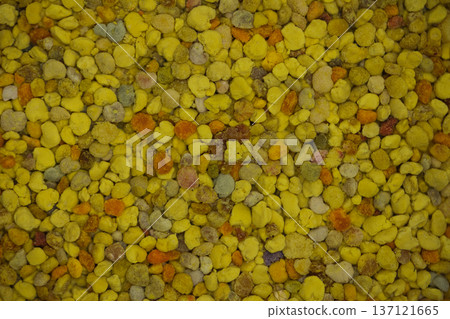 Close-up of natural bee pollen granules in vibrant yellow and orange tones, showcasing their organic texture. Close-up of natural bee pollen granules in vibrant yellow and orange tones, showcasing their organic texture. 137121665