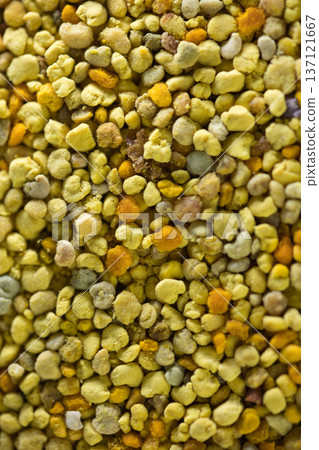 Close-up of natural bee pollen granules in vibrant yellow and orange tones, showcasing their organic texture. Close-up of natural bee pollen granules in vibrant yellow and orange tones, showcasing their organic texture. 137121667