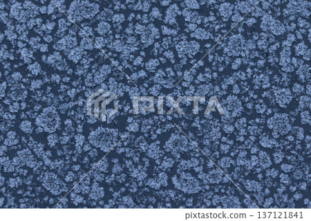 Abstract winter frost texture with delicate ice crystal patterns on a frozen surface. Natural icy background with snowflake-like details, perfect for seasonal designs, cold weather concepts 137121841