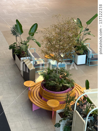 Modern cafe space with greenery and pastel seating viewed from above. Relaxation, social meetings, interior design, comfortable atmosphere and contemporary hospitality mood. 137122158
