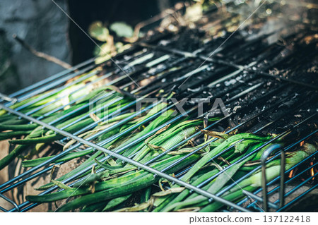 Green onions grilling over fire on barbecue traditional outdoor cooking 137122418