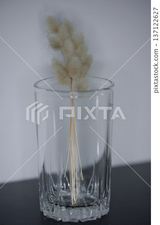 Soft minimalist still life featuring delicate dried bunny tail grass in a glass container with dreamy bokeh and shallow depth of field. 137122627