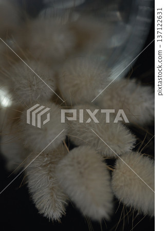 Soft minimalist still life featuring delicate dried bunny tail grass in a glass container with dreamy bokeh and shallow depth of field. Soft minimalist still life featuring delicate dried bunny tail grass in a glass container with dreamy bokeh and shallow depth of field. 137122631