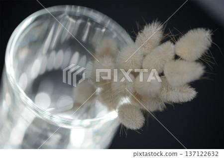 Soft minimalist still life featuring delicate dried bunny tail grass in a glass container with dreamy bokeh and shallow depth of field. Soft minimalist still life featuring delicate dried bunny tail grass in a glass container with dreamy bokeh and shallow depth of field. 137122632