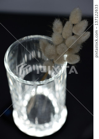 Soft minimalist still life featuring delicate dried bunny tail grass in a glass container with dreamy bokeh and shallow depth of field. 137122633