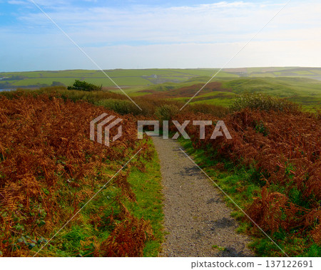 A narrow gravel path winds through fields of rust-colored ferns and lush green grass. Rolling hills under a light blue sky stretch into the distance on a bright autumn day, inviting a peaceful walk. 137122691