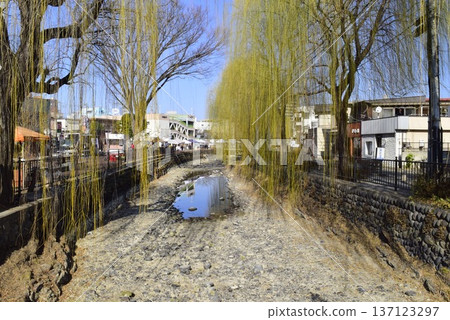 Gunma - Willow trees and streetscape of the Hirose River Gunma - Willow trees and streetscape of the Hirose River 137123297