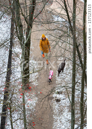 top view of person in an orange jacket walking with two dogs. walking with pets in cold season. top view of person in an orange jacket walking with two dogs. walking with pets in cold season. 137123315