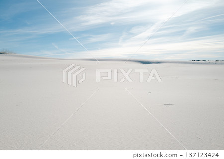 White Sands 12 White Sands 12 137123424