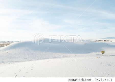 White Sands 32 White Sands 32 137123495