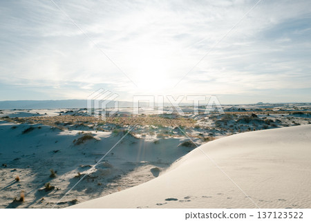 White Sands 44 White Sands 44 137123522