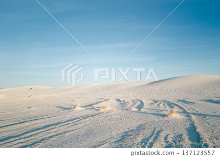 White Sands 57 137123557