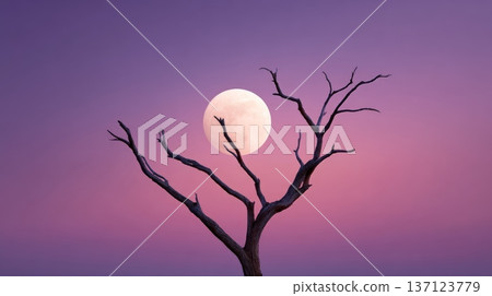 Dry bare branches reach toward a large full moon glowing over a tranquil purple pink twilight sky, silhouetted against a dreamy, ethereal evening landscape 137123779