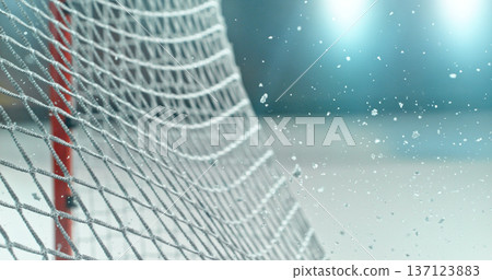 Close-up detail of an ice hockey goal net inside an indoor rink, with shallow depth of field and blurred background, capturing sports atmosphere and texture of the net mesh. 137123883