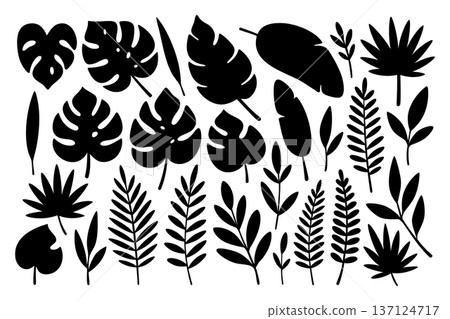 Set of assorted tropical leaves. Black silhouettes of monstera, palm, and banana foliage for botanical and tropical design Set of assorted tropical leaves. Black silhouettes of monstera, palm, and banana foliage for botanical and tropical design 137124717
